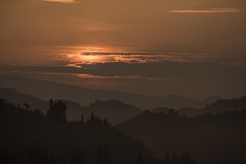 14055