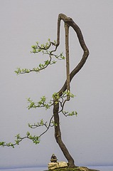 12037