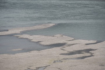 16006