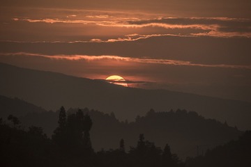14043