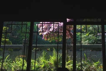 10806