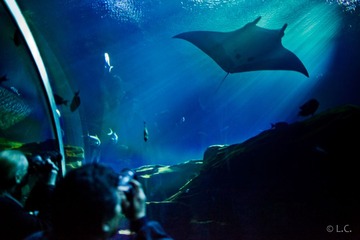 20130119-IMG_3983.jpg
