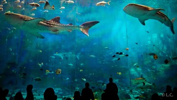20130119-IMG_4031.jpg