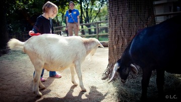 ATLZOO20121007-IMG_9963.jpg