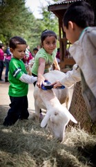 ATLZOO20121007-IMG_9969.jpg