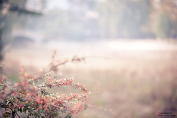 DSC_4647.jpg