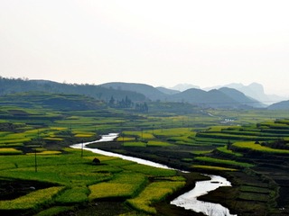 桂家湖6