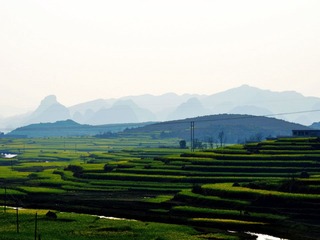 桂家湖7