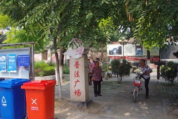 小天蛾