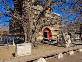 她在他后面