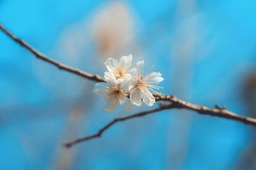 A77811C1-B6AD-4CCD-A175-23D0FC70BE50/L0/001