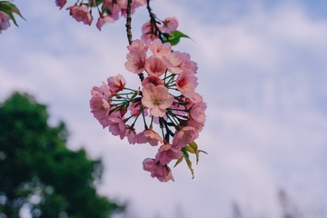 CBF6E99D-5FE5-4765-B9A6-27B777667EA0/L0/001