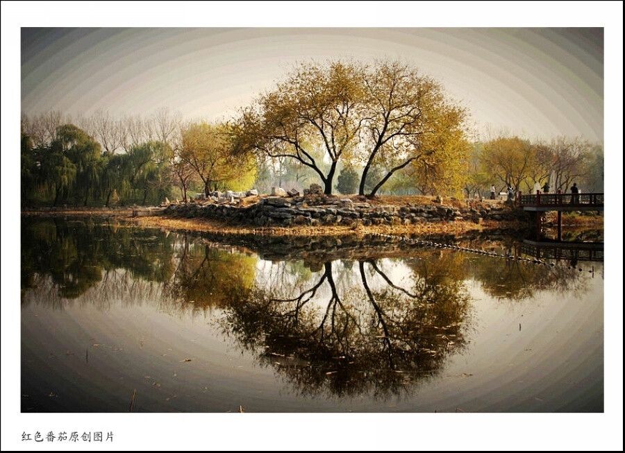 情人树的倒影<br />
