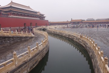 蜂花恋