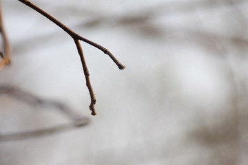 IMG_6558.jpg