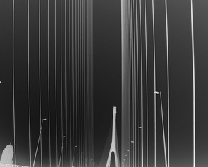 黎明negativecrop