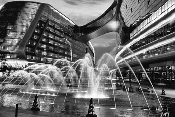 DSC_8617bw