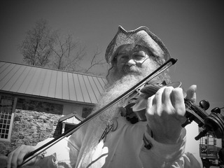 the violinist