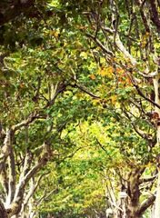 DSC_2594crop