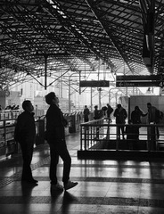 DSC_8855bwre