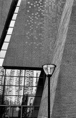 DSC_5023bw