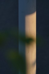 1000004009