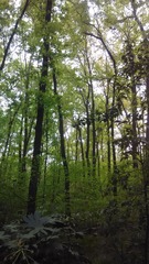 IMG_20140406_154236