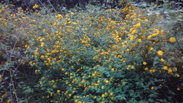 IMG_20140406_173556
