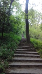 IMG_20140406_174448