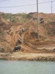 DSCN1603.JPG