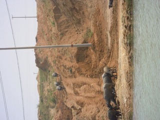 DSCN1606.JPG