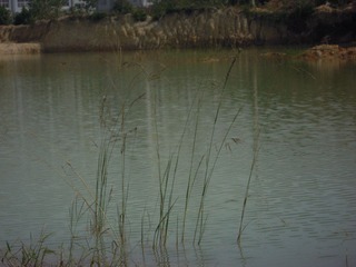 DSCN1582.JPG