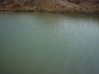 DSCN1590.JPG