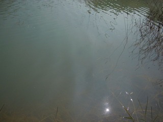 DSCN1591.JPG
