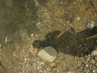 DSCN1593.JPG