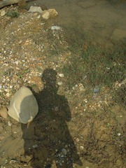 DSCN1594.JPG