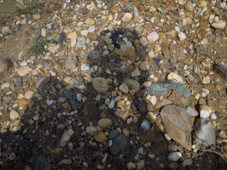 DSCN1595.JPG