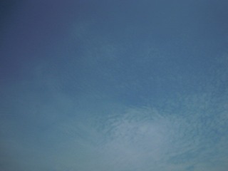 DSCN1596.JPG
