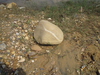 DSCN1597.JPG