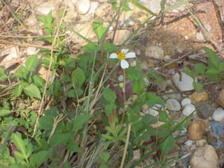 DSCN1598.JPG