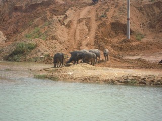 DSCN1605.JPG