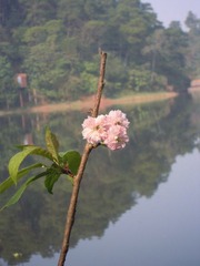 DSCN2040.JPG