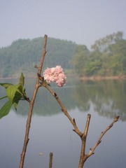 DSCN2042.JPG