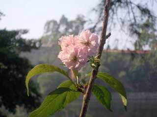 DSCN2044.JPG