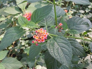 DSCN2143.JPG