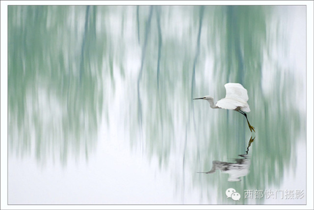 《天高任鸟飞》