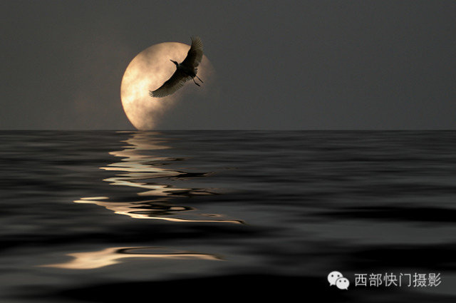 《天高任鸟飞》