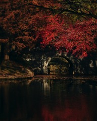 8B7EF82F-801F-49E9-B282-0317AB940058/L0/001