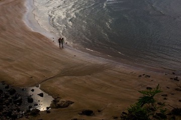 _Y3A1106