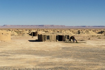 L1000219